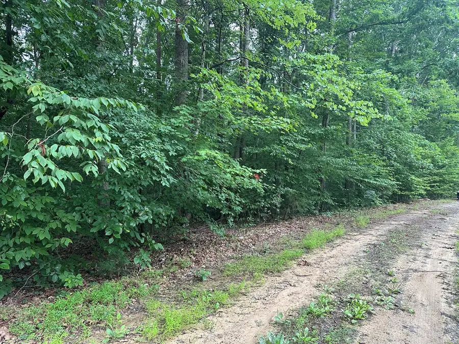 Lot 8 Holly Hill Drive, Buffalo Junction, VA 24529 - #2