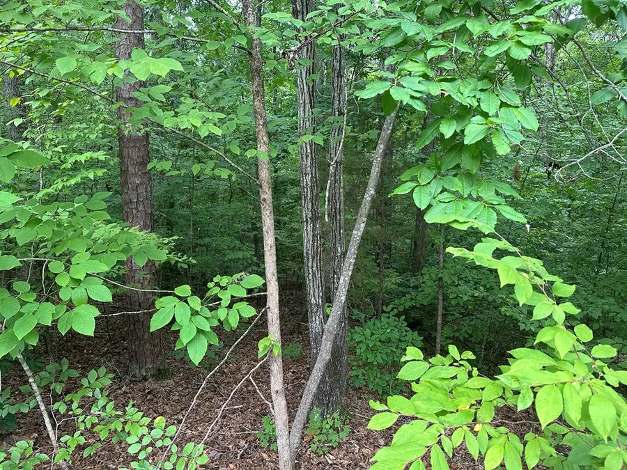 Lot 8 Holly Hill Drive, Buffalo Junction, VA 24529 - #3