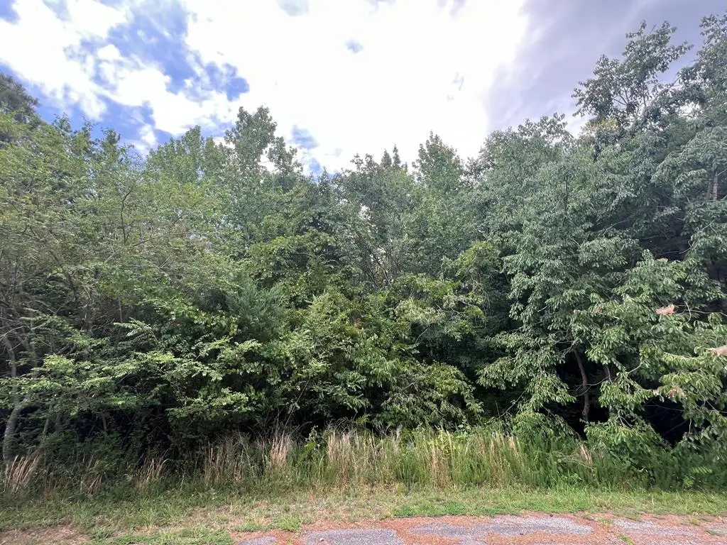 4.18 AC Salishan Drive, Halifax, VA 24558 - #1