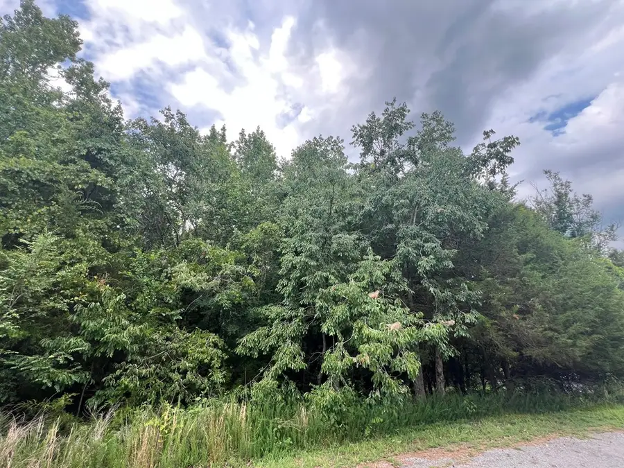 4.18 AC Salishan Drive, Halifax, VA 24558 - #2