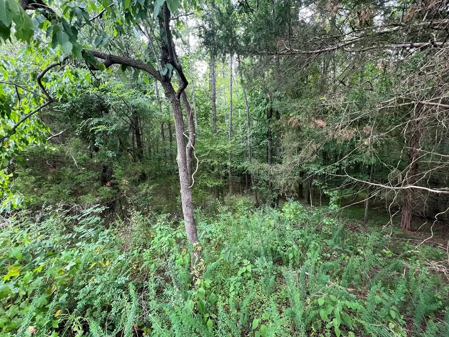 4.18 AC Salishan Drive, Halifax, VA 24558 - #3