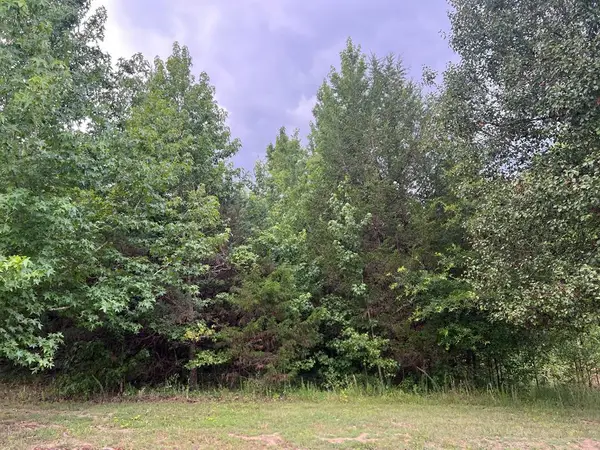 3.95 AC Salishan Drive, Halifax, VA 24558