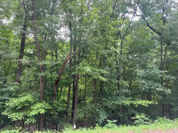 0.5 AC Love Shop Road, Halifax, VA 24558