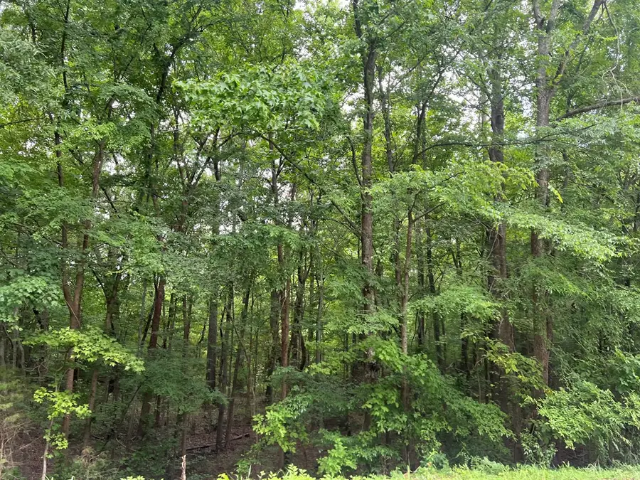 0.5 AC Love Shop Road, Halifax, VA 24558 - #2