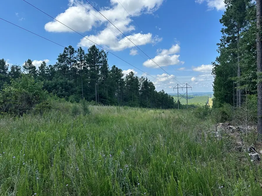 108 Acs Wileman Road, Lynch Station, VA 24571 - #2