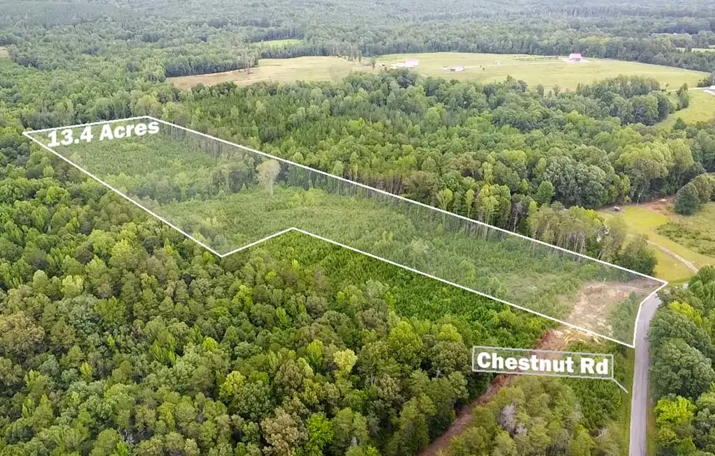 13.4 Acs Chestnut Road, Nathalie, VA 24577 - #1