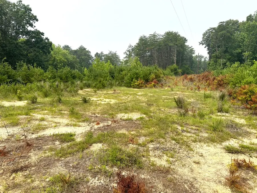 13.4 Acs Chestnut Road, Nathalie, VA 24577 - #2