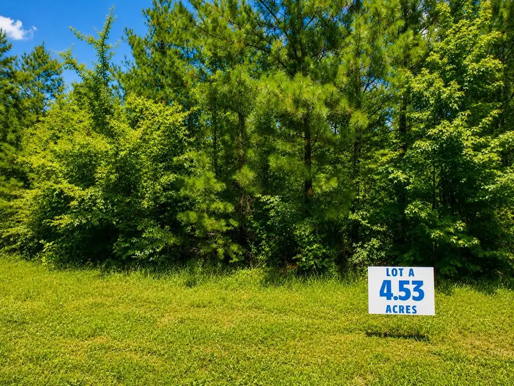 4.53 Acr Boodie Trail, South Boston, VA 24592 - #1