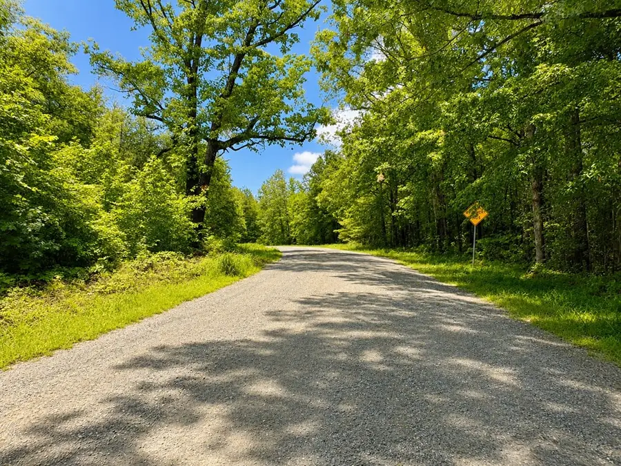 5 Ac G Boodie Trail, South Boston, VA 24592 - #2