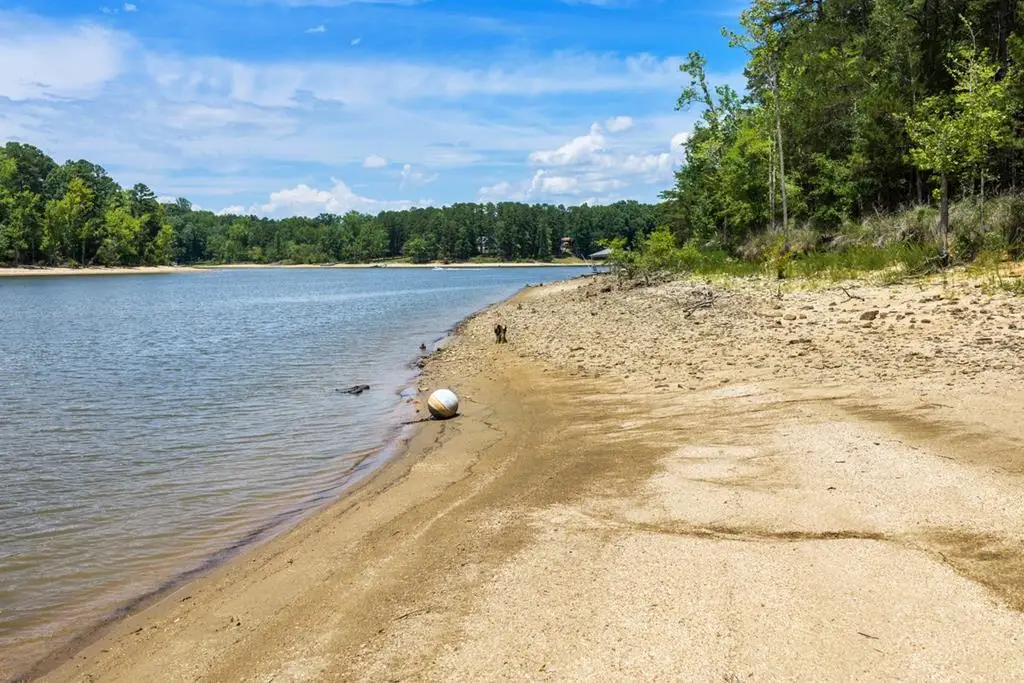 Lot 3 Heron Drive, Buffalo Junction, VA 24529 - #1