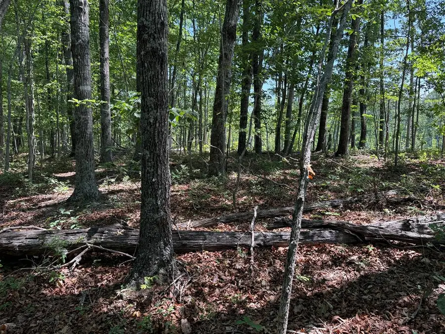 1200 Passante Sr Lane, Gordonsville, VA 22942 - #3