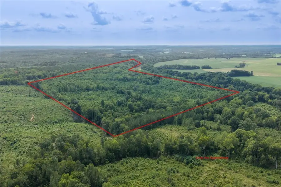 98.63 AC Pointer Road, Alton, VA 24520 - #3