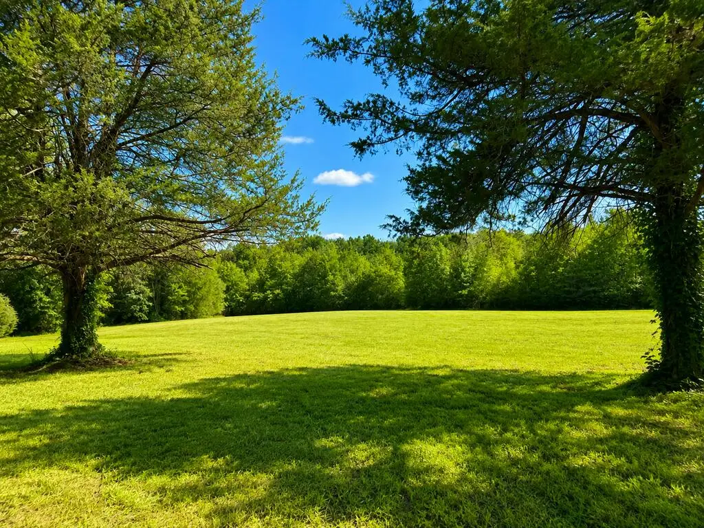 6164 Phillis Road, Boydton, VA 23917 - #1