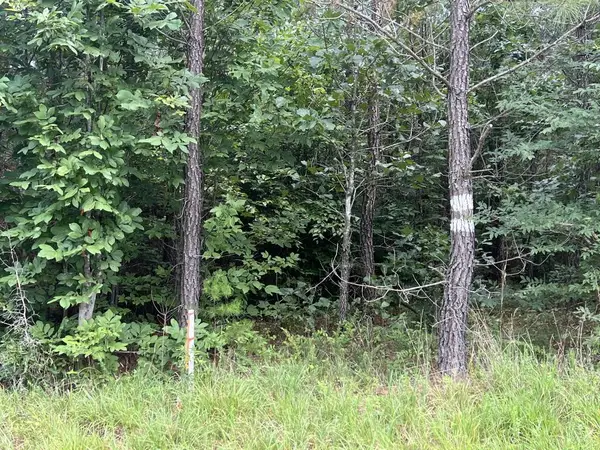 91.81 AC Brickhouse Road, Randolph, VA 23962