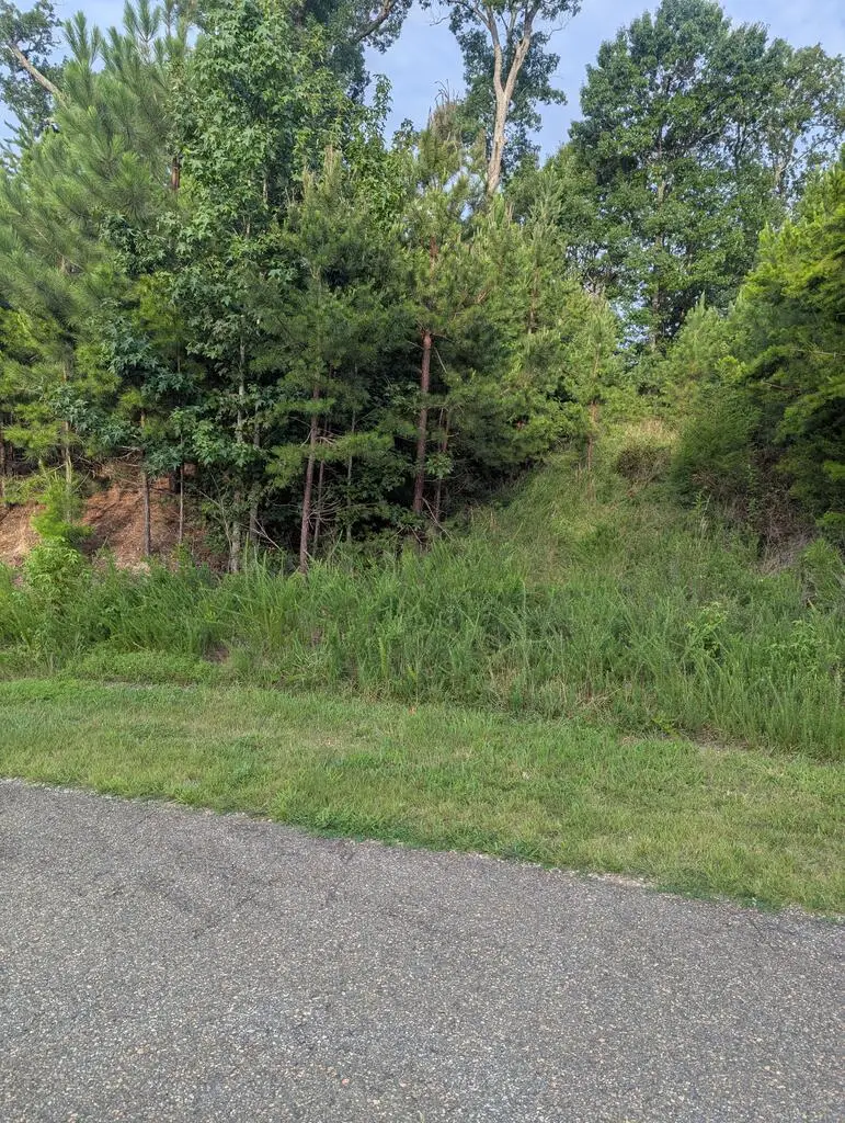 12 Berkeley Drive, Clarksville, VA 23927 - #2