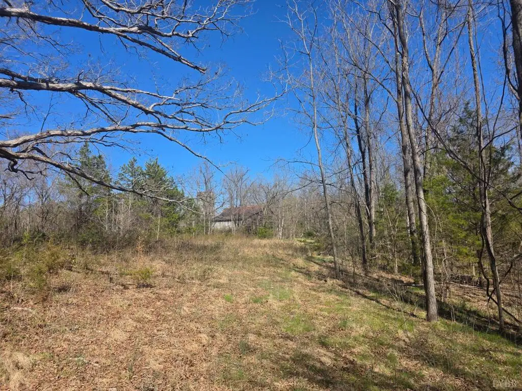 Aspen Wall Road, Brookneal, VA 24528 - #1