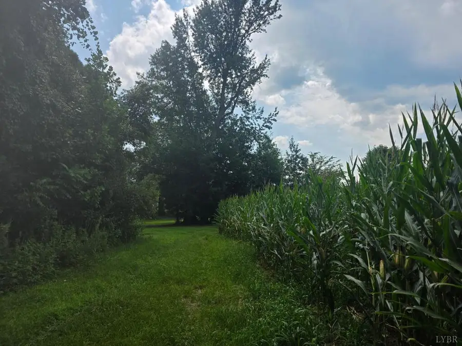 Aspen Wall Road, Brookneal, VA 24528 - #2