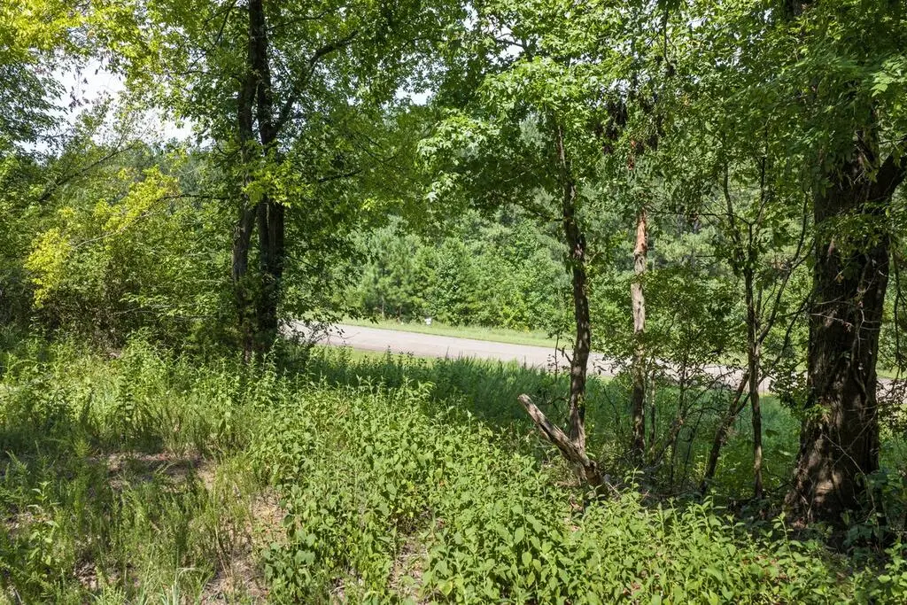 Lot 19 Woodlawn Drive, Clarksville, VA 23927 - #1