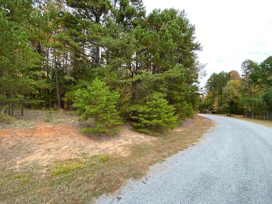 Lot 50 Large Mouth Lane, Clarksville, VA 23927 - #2