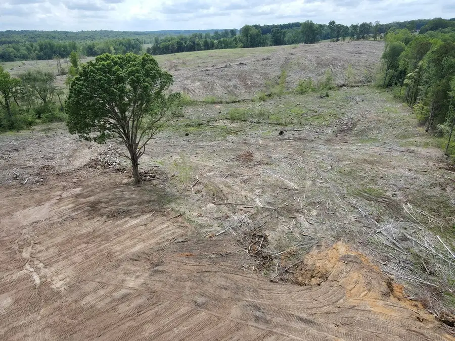 86.64 ac Chatham Road, Halifax, VA 24558 - #3