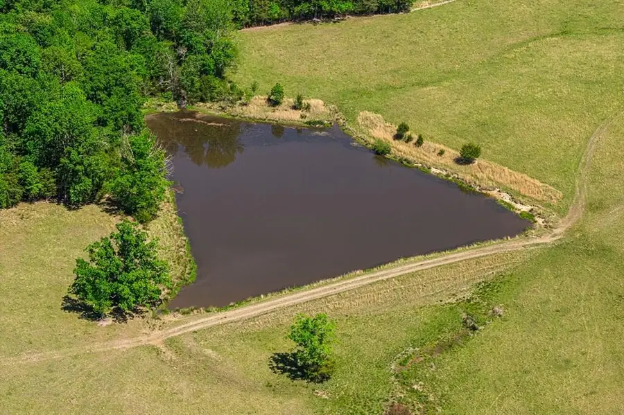 71.16 Ac Highway 49, Buffalo Junction, VA 24529 - #3