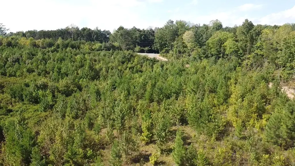 2018 Ashcake Creek Road, Scottsburg, VA 24589 - #1