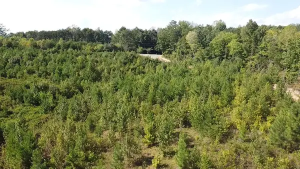 2018 Ashcake Creek Road, Scottsburg, VA 24589