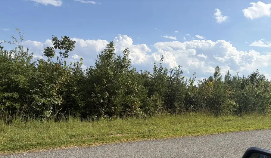 2018 Ashcake Creek Road, Scottsburg, VA 24589 - #3