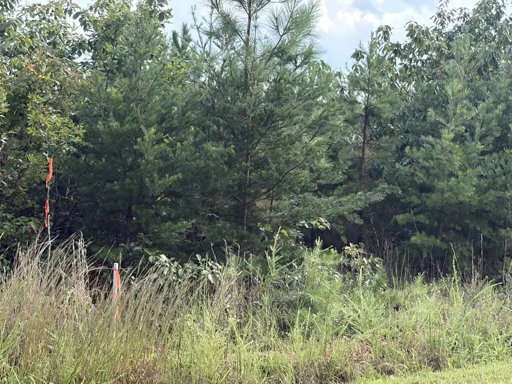 2020 Ashcake Creek Road, Scottsburg, VA 24589 - #1