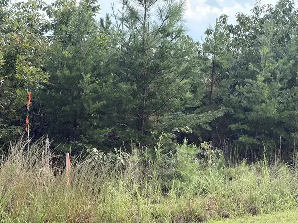 2020 Ashcake Creek Road, Scottsburg, VA 24589