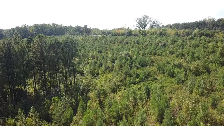 2020 Ashcake Creek Road, Scottsburg, VA 24589 - #2