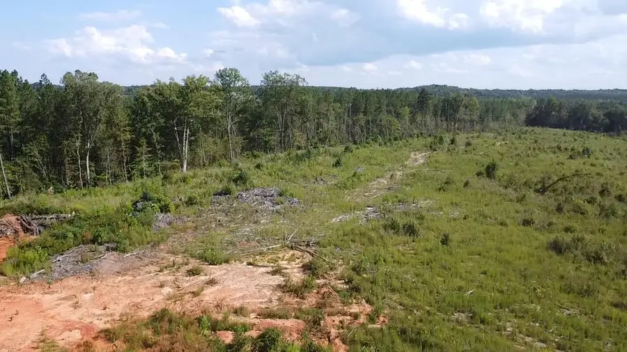2020 Ashcake Creek Road, Scottsburg, VA 24589 - #3