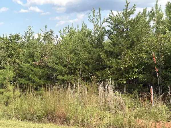 2022 Ashcake Creek Road, Scottsburg, VA 24589