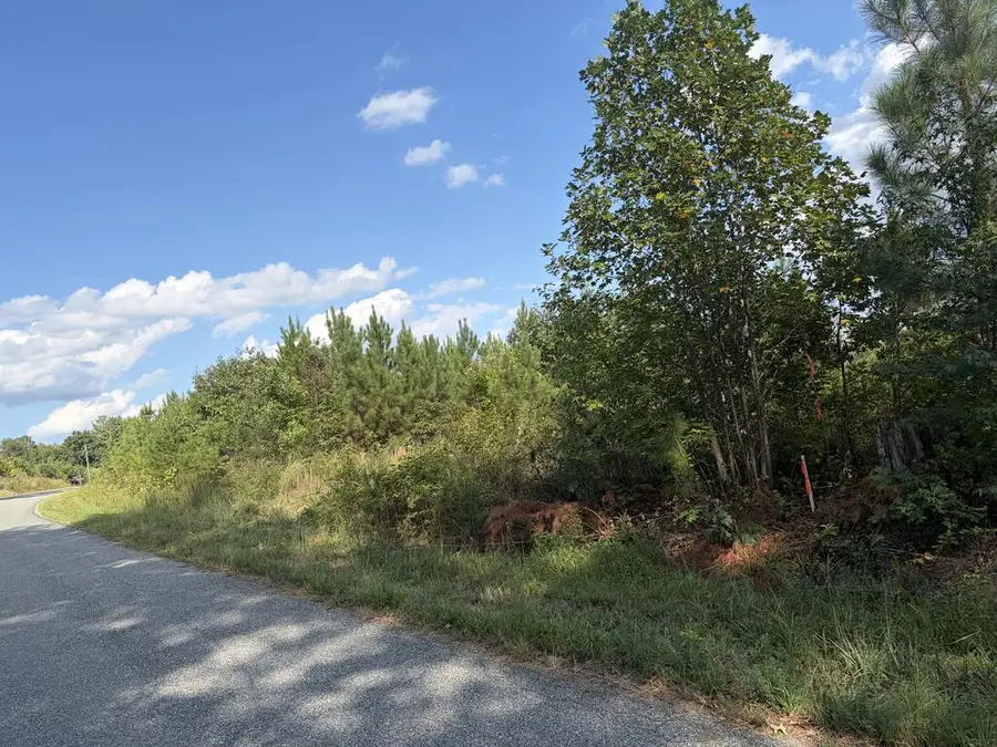 2022 Ashcake Creek Road, Scottsburg, VA 24589 - #3