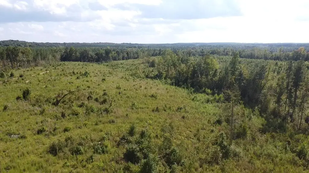2024 Ashcake Creek Road, Scottsburg, VA 24589 - #1