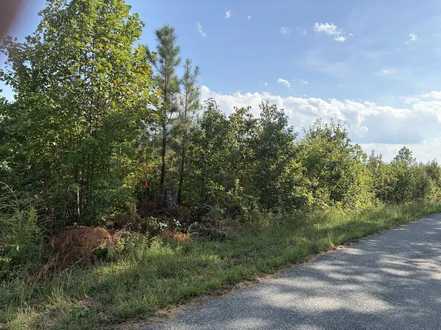 2024 Ashcake Creek Road, Scottsburg, VA 24589 - #2