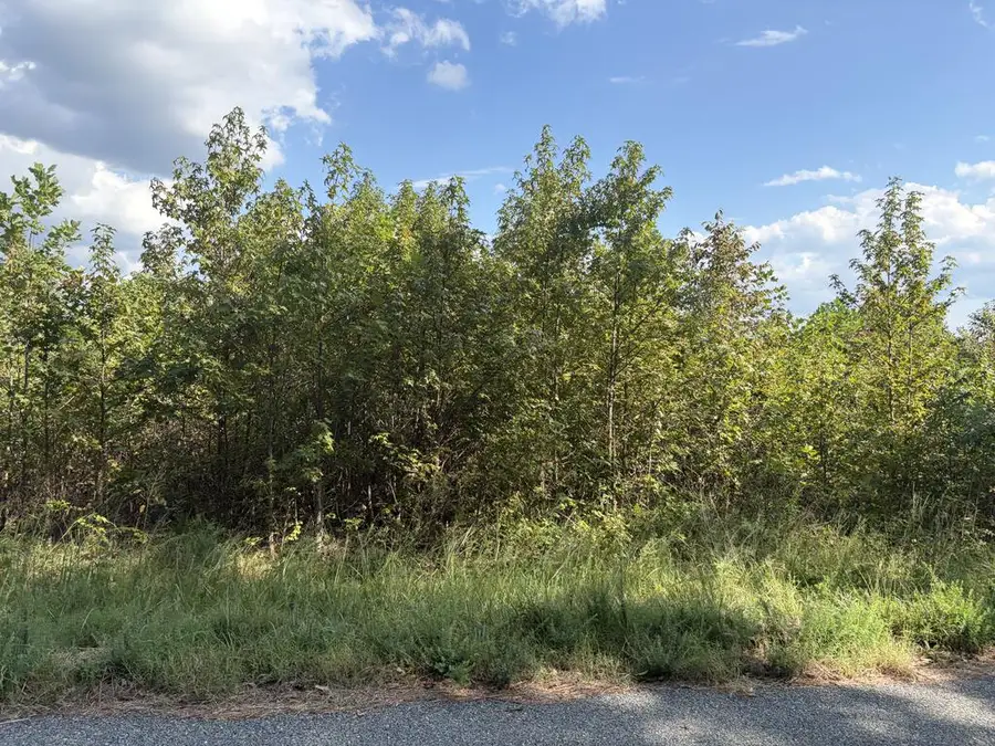 2024 Ashcake Creek Road, Scottsburg, VA 24589 - #3