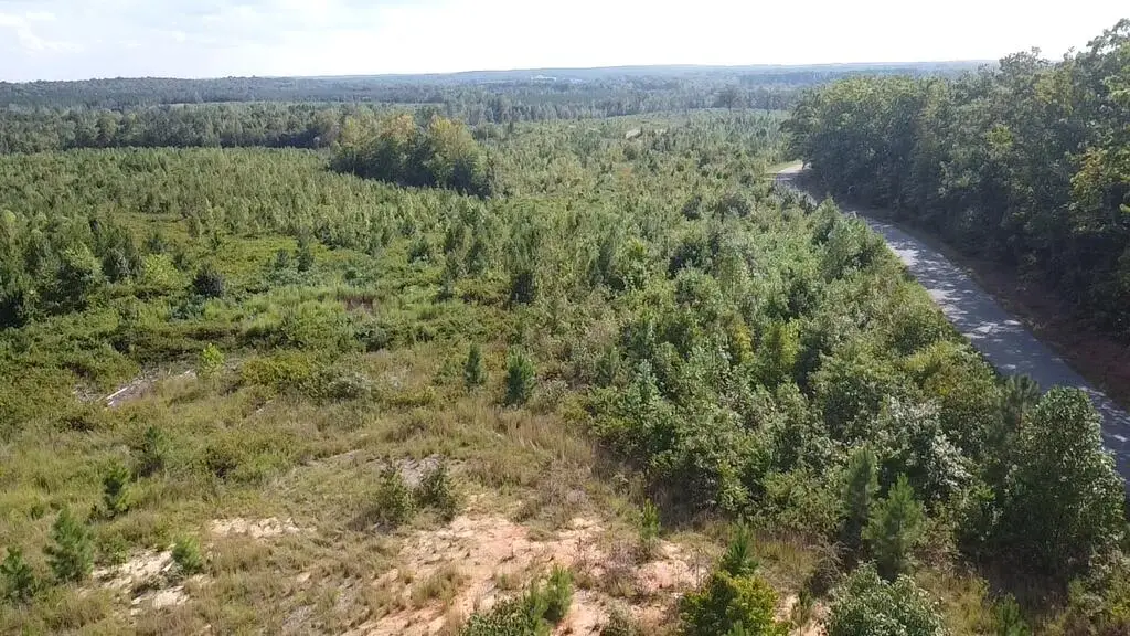2026 Ashcake Creek Road, Scottsburg, VA 24589 - #1