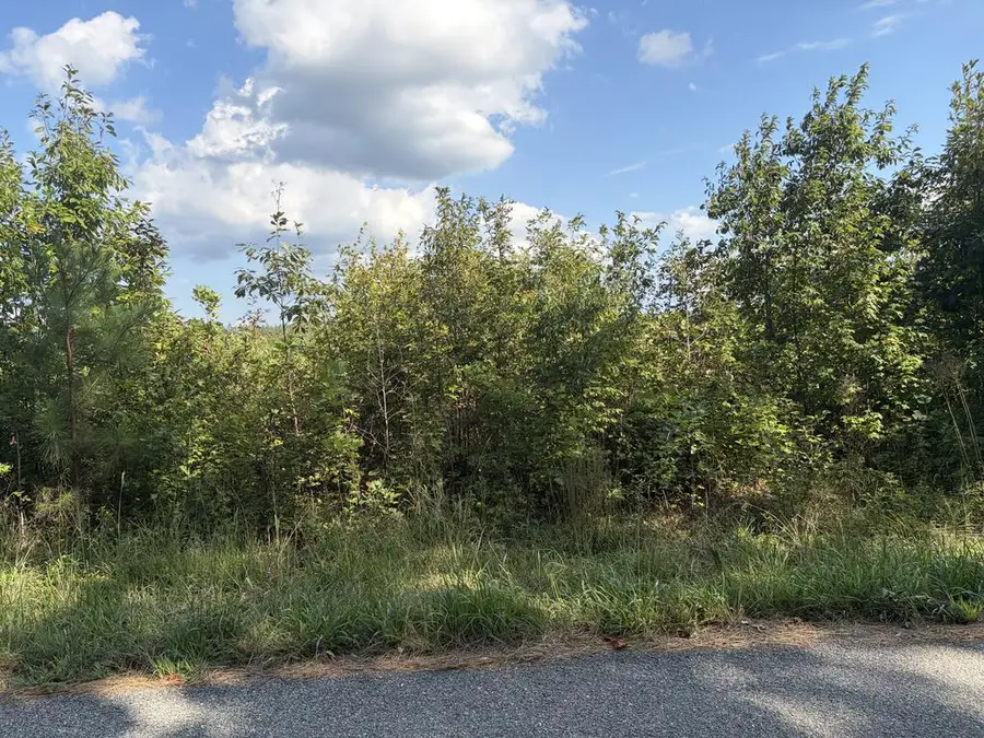 2026 Ashcake Creek Road, Scottsburg, VA 24589 - #3