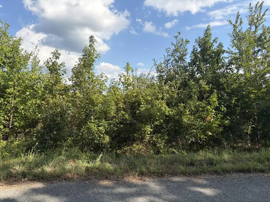 2028 Ashcake Creek Road, Scottsburg, VA 24589 - #2