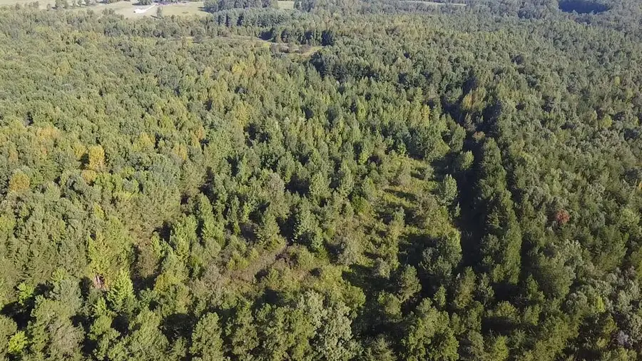 105 Acs Ashton Road, Victoria, VA 23974 - #3