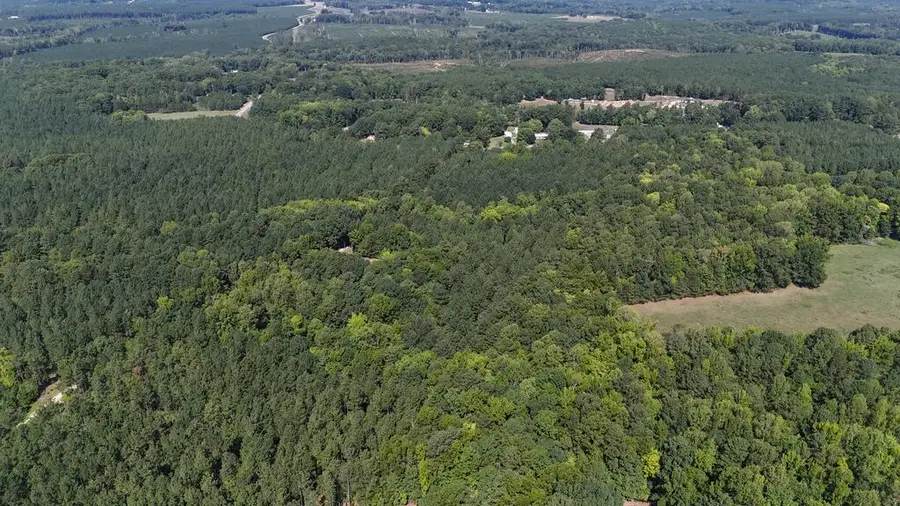 3650 Nellie Jones Road, La Crosse, VA 23950 - #2