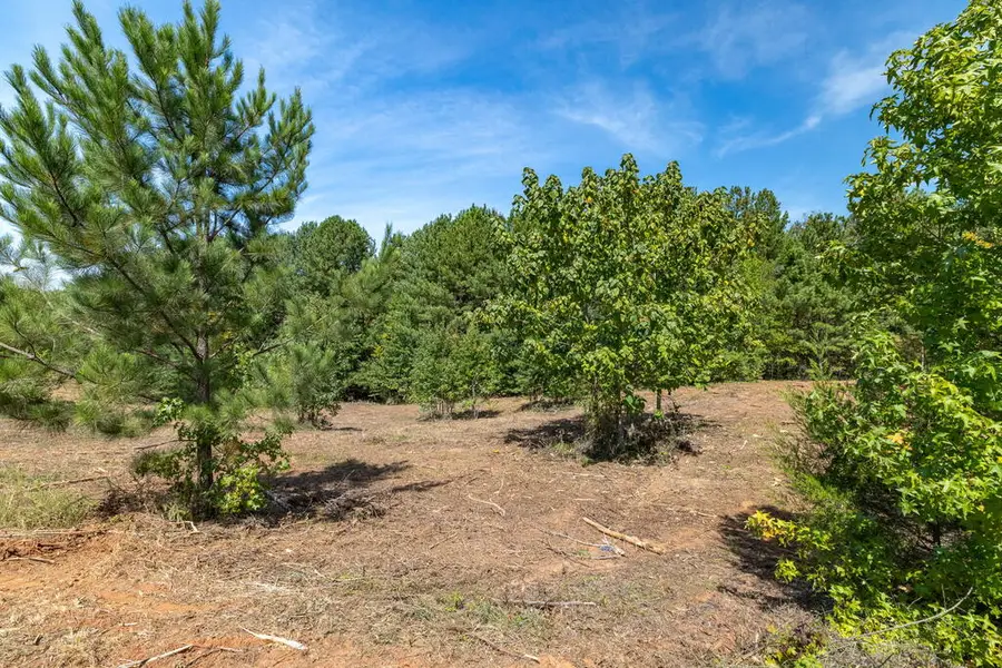 62 Woodlawn Drive, Clarksville, VA 23927 - #2