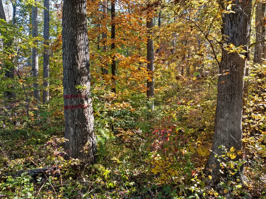 Skipwith Road, Boydton, VA 23917 - #3