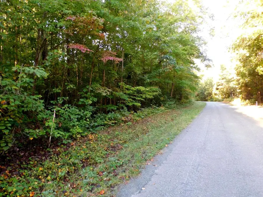 4.54 Acr Coleman Trail, Nathalie, VA 24577 - #2