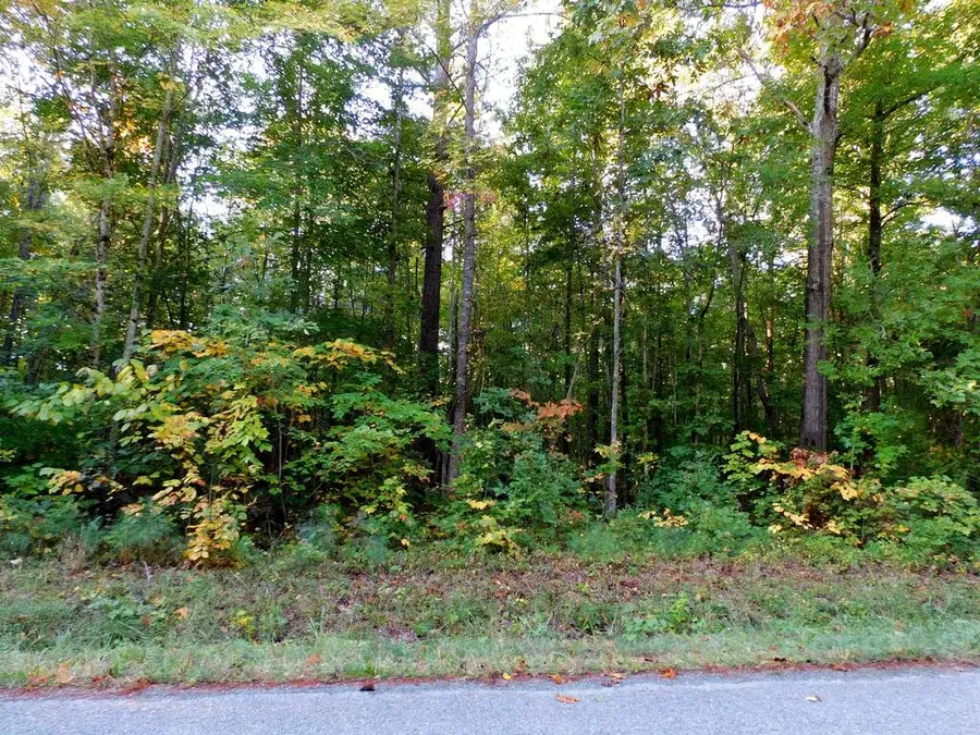 4.54 Acr Coleman Trail, Nathalie, VA 24577 - #3
