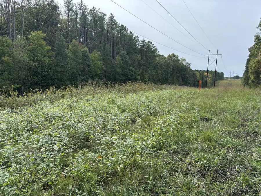 1080 Alex Lane, Nathalie, VA 24577 - #2