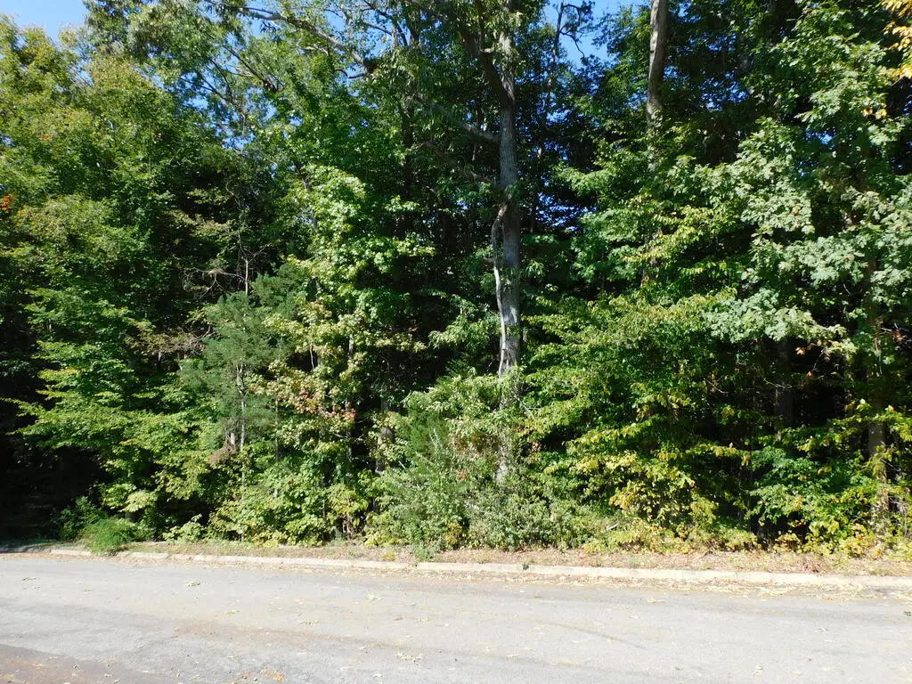 .48 Acre Merritt Street, South Boston, VA 24592 - #1