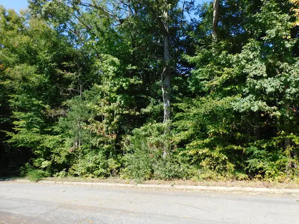 .48 Acre Merritt Street, South Boston, VA 24592
