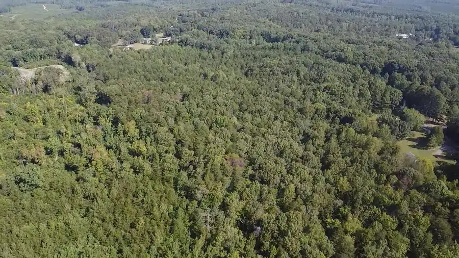 22.5 Acs Dream Lane, Palmyra, VA 22963 - #2